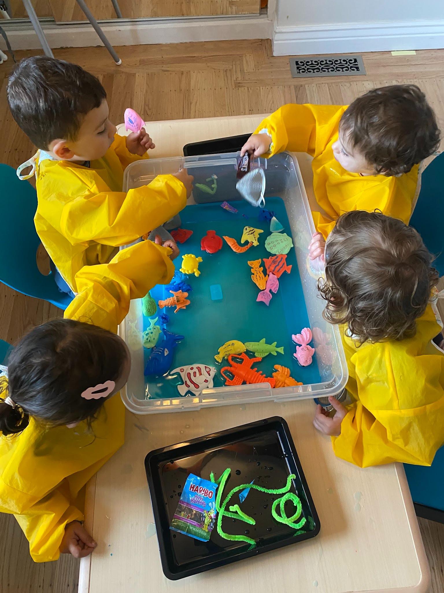 Toddler enrichment and STEAM activities at The Lighthouse Daycare Tiburon
